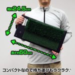 DAIYA 2 Way Mat - Thảm tập golf 10 61Utwip0WdS. AC SL1000